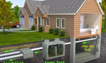 Buying a Home with a Septic Tank? Here’s What You Need to Know
