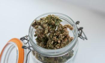 Four Ways to Save Money on Your Weed
