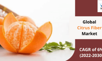 Citrus Fiber Market Objectives of the Study Includes Research Methodology and Assumptions and Forecast