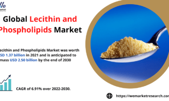 Lecithin and Phospholipids Market Size Analysis by Growth, Emerging Trends and Future Opportunities