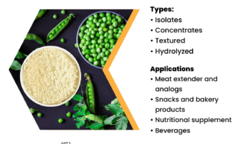 Organic Pea Protein Market Emerging Trend, Top Companies, Industry Demand and Regional Analysis