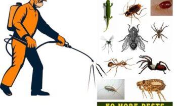 Pest Control Market to Hit USD 2,041.6 Million in 2030 | At 12.0% CAGR by Emeregen Research