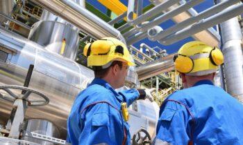 Can the Industry Thrive Amid Green Shifts and Global Demand in the Next 5 Years?