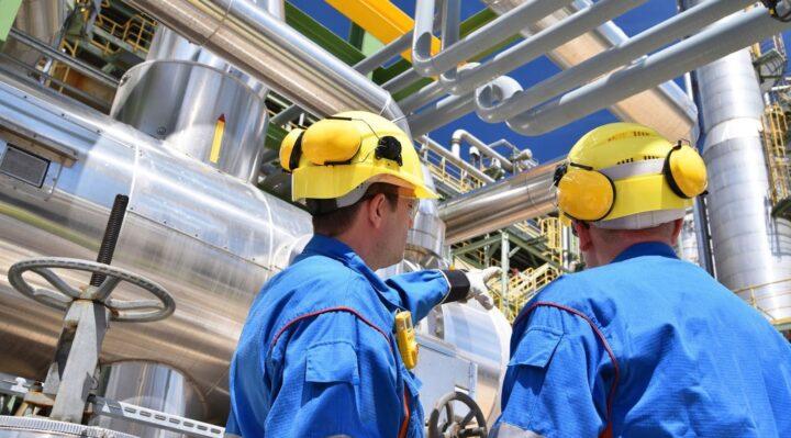 Can the Industry Thrive Amid Green Shifts and Global Demand in the Next 5 Years?