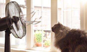 Only 21% Feel Ready for Summer Cooling: A Confidence Crisis for Energy Markets