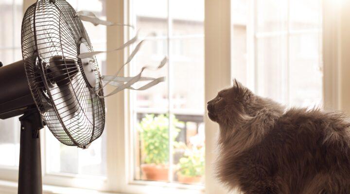 Only 21% Feel Ready for Summer Cooling: A Confidence Crisis for Energy Markets