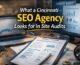 What a Cincinnati SEO Agency Looks for in Site Audits
